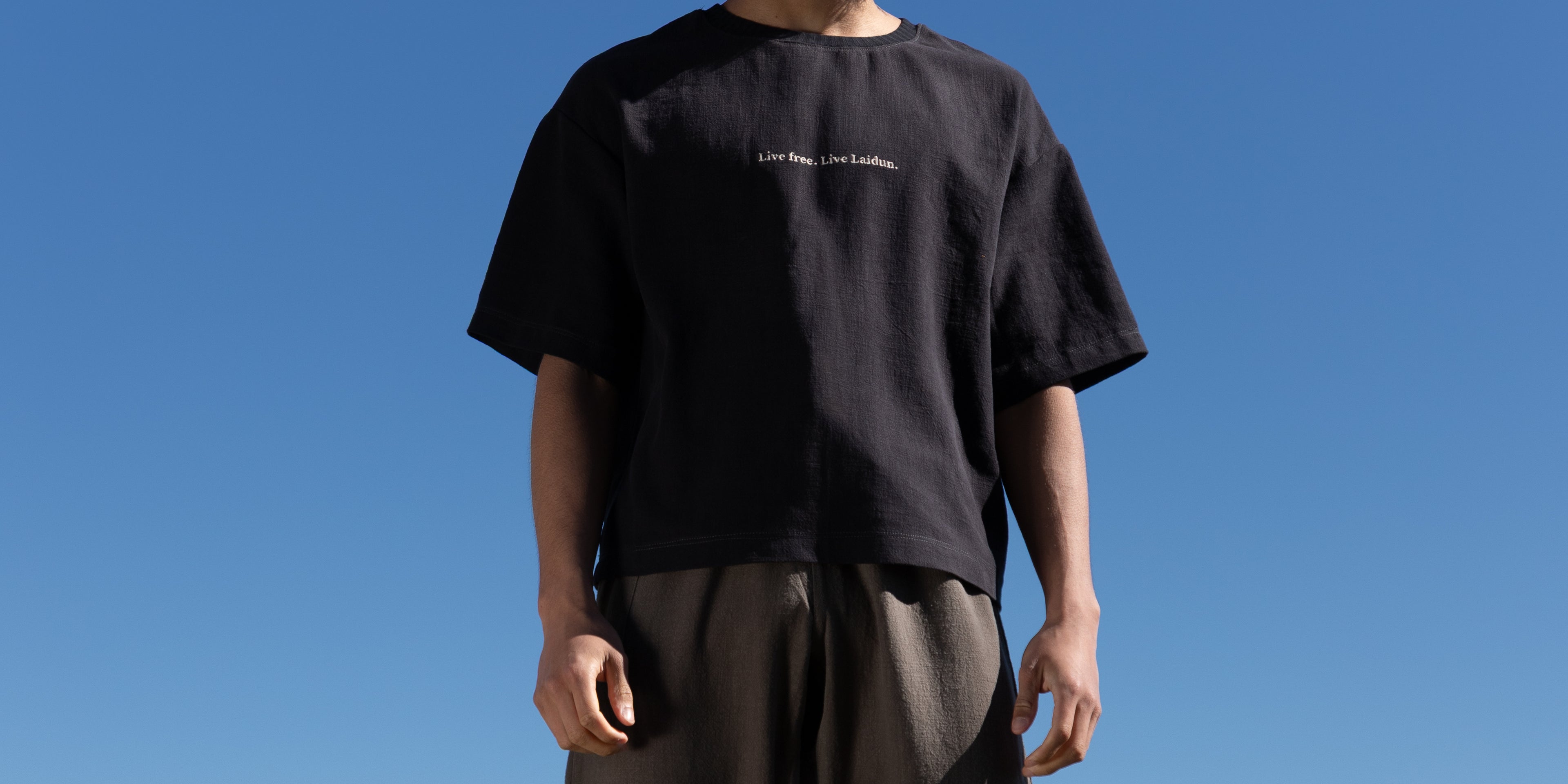 Laidun T